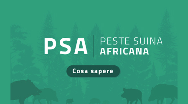 PESTE SUINA AFRICANA - COSA FARE E COME COMPORTARSI
